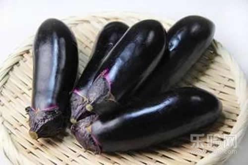 什么人不能吃茄子,哪些人不能吃茄子-乐哈健康