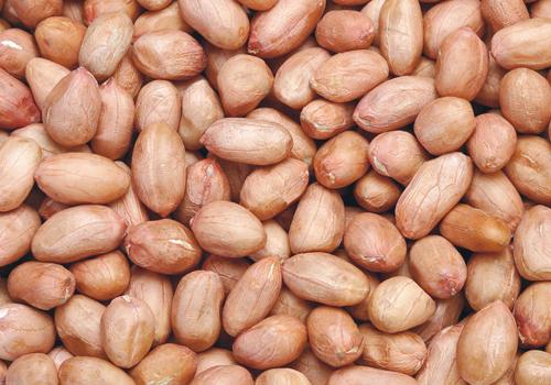 减肥期间能吃坚果吗 这4种坚果可以放心吃