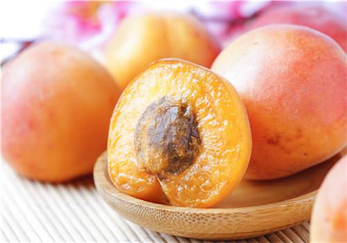 杏子怎么吃最好