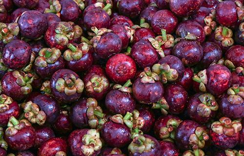 山竹能和哈密瓜一起吃吗