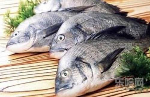 力差需要补充什么营养,小孩记忆力差补什么-乐