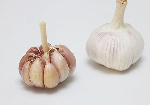 醋泡大蒜用陈醋还是白醋,醋泡大蒜吃了有什么
