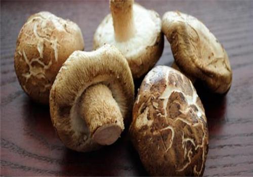 减脂吃什么好,刮油食物越吃越瘦