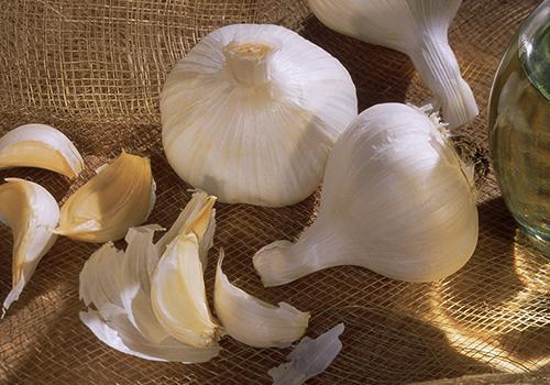 醋泡大蒜为什么不变绿,用醋泡的蒜为什么变绿