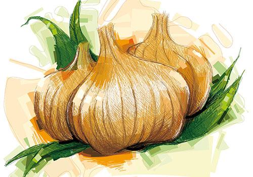 醋泡大蒜能壮阳吗,醋泡大蒜有壮阳功效吗?-乐