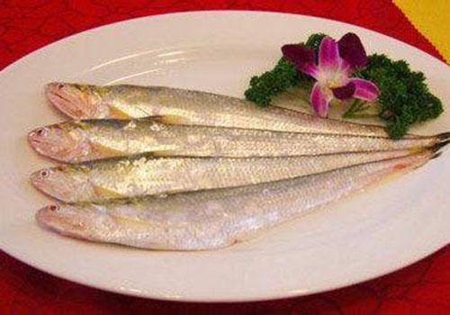 清蒸鱼用什么鱼最好 清蒸鱼一般蒸多长时间-乐