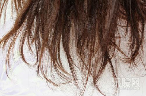 头发干枯毛躁怎么办用什么洗发水,头发干枯毛