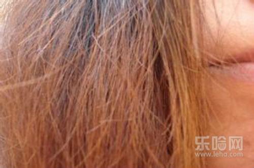 头发干枯毛躁怎么办用什么洗发水,头发干枯毛