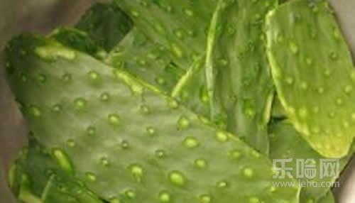 防针的地方有硬块,宝宝打疫苗的地方有硬块,宝