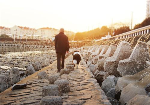 老年抑郁症有啥症状