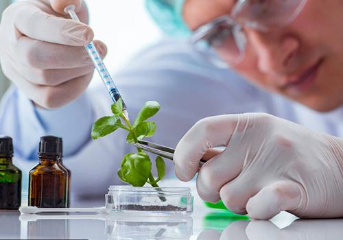 皮肤瘙痒能喝酒吗