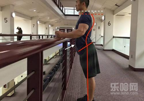 骨盆前倾的危害,骨盆前倾有什么危害-乐哈健康