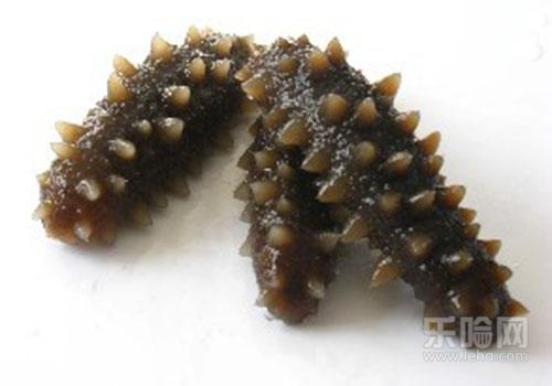 吃海参上火吗,海参会上火吗-乐哈健康网