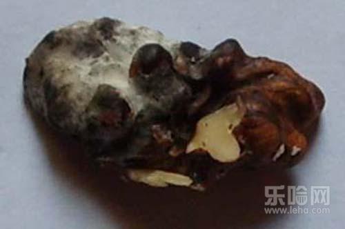 为什么核桃会苦,核桃发苦怎么回事,核桃有点苦