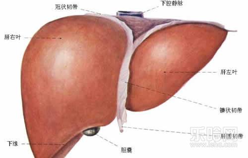 大三阳是什么病,大三阳是什么病严重吗,大三阳