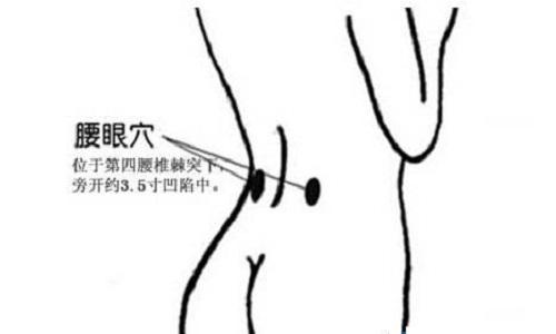 腰眼的准确位置图片