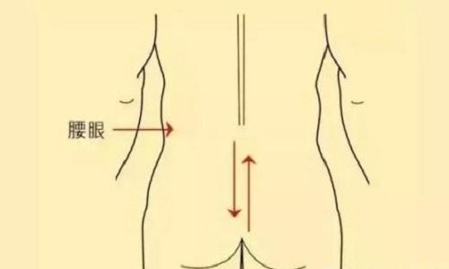 腰眼的准确位置图片