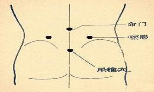 腰眼的准确位置图片