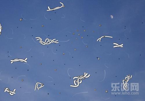 眼睛前面有黑影是什么病,前有黑影飘动是怎么