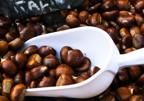 板栗壳可以做花肥吗