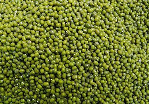 绿豆和什么搭配最好