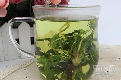 蒲公英和什么一起泡水喝最好,蒲公英怎么泡水