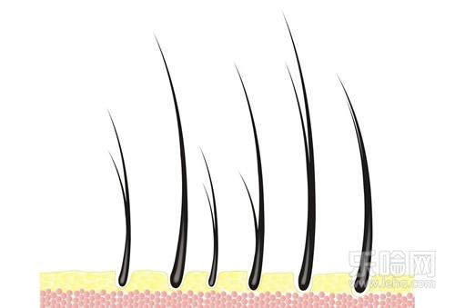 头发可以做亲子鉴定吗,头发能做亲子鉴定吗,头