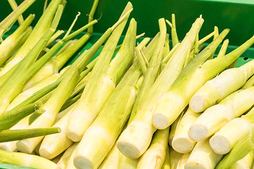 燕麦不能和什么一起吃,燕麦片怎么吃减肥