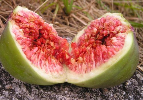 无花果晚上吃会胖吗