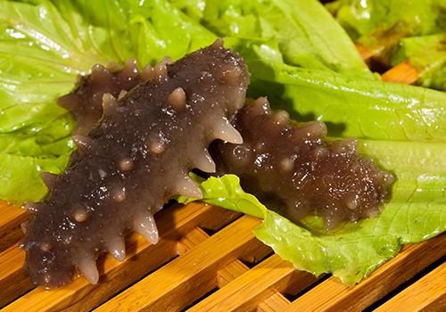 海参一周吃几个最佳