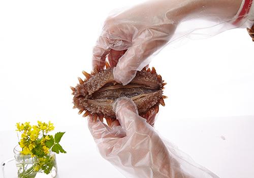 海参一周吃几个最佳