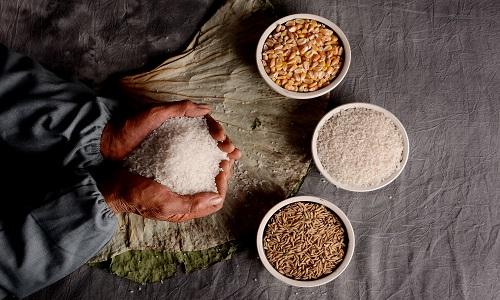 糙米泡了多久比较合适