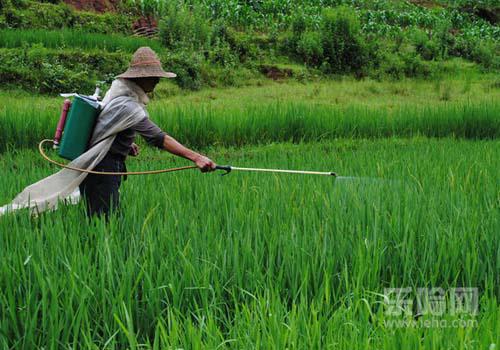 百草枯中毒能治好吗,人喝了百草枯还有救吗-乐