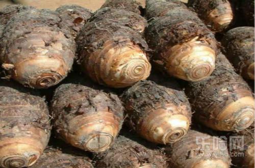 缺钾吃什么补的最快,缺钾可以吃什么,补钾的食