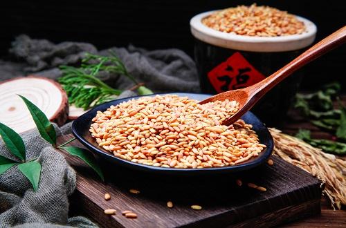 糙米不泡煮多久