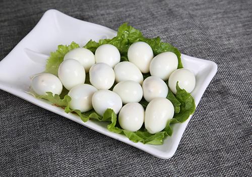 鸽子蛋什么人不能吃