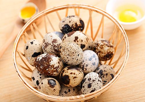 鹌鹑蛋可以天天吃吗