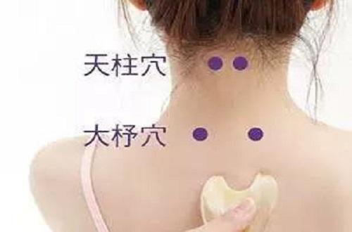 拔罐后背的位置示意图,后背拔罐位置与功效图