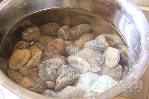 蛤蜊怎么吐沙,蛤蜊吐沙最快的方法,怎么样蛤蜊