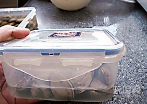 蛤蜊怎么吐沙,蛤蜊吐沙最快的方法,怎么样蛤蜊