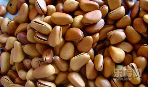 松子和牛奶能一起吃吗,松子可以和牛奶一起吃