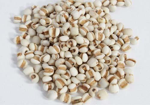 薏仁水的功效与作用