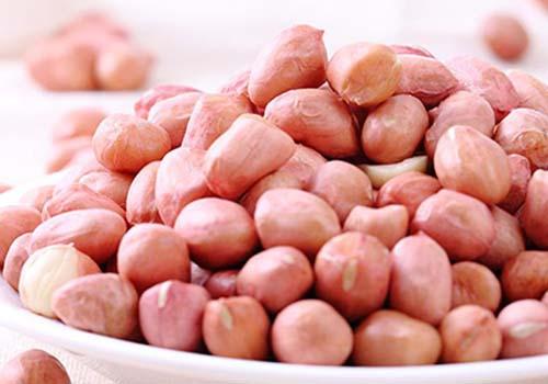 花生仁的功效与作用