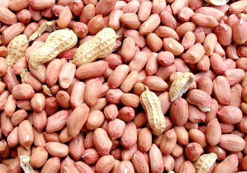 花生仁的功效与作用