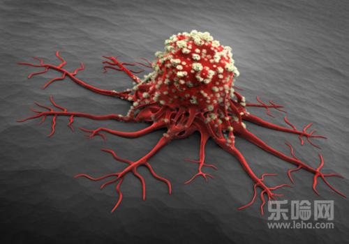 脂腺囊肿能自愈吗,皮脂腺囊肿会自己消失吗-乐