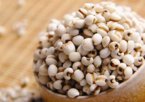 薏仁水的功效与作用