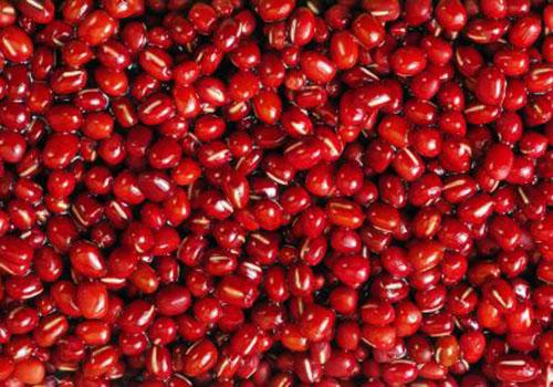 红小豆的功效与作用