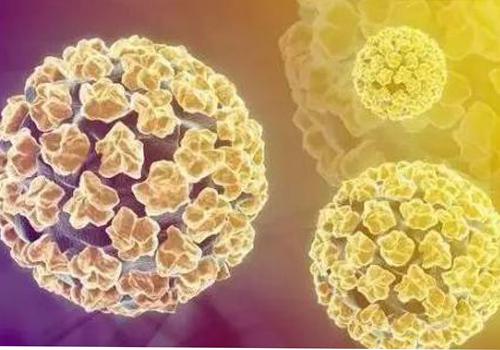 宫颈癌疫苗要打几次 有了性生活还可以打宫颈