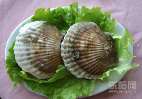 扇贝孕妇能吃吗