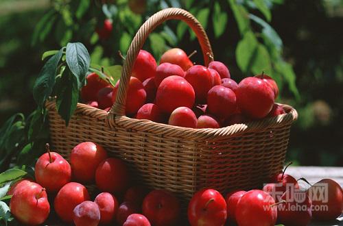 病病人吃什么水果好,有肝病吃什么水果好-乐哈